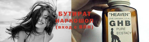 сатива Володарск