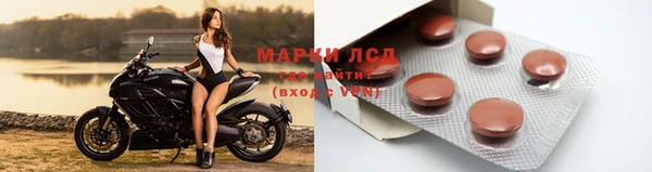 сатива Володарск