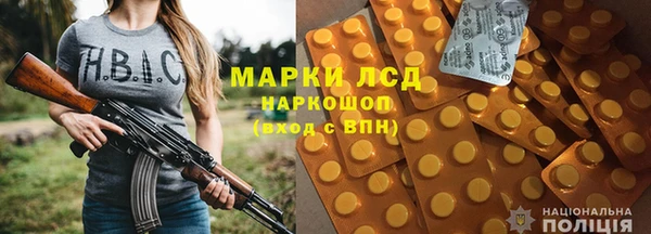 сатива Володарск