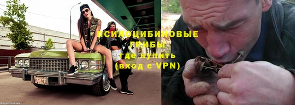твердый Вяземский