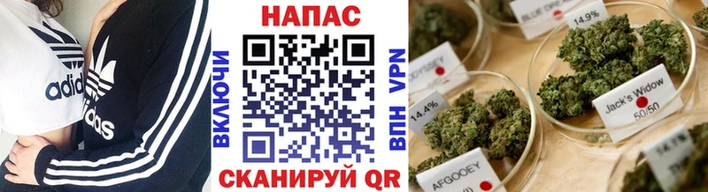 дарк нет как зайти  Северодвинск  Бошки Шишки SATIVA & INDICA 